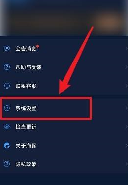 海豚加速器怎样关闭自动安装?海豚加速器关闭自动安装的方法