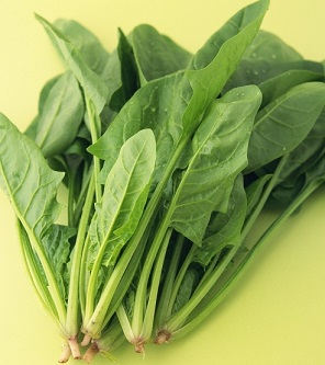 宋朝人吃火锅时可以吃到哪些蔬菜 宋朝人吃火锅可以吃到菠菜吗蚂蚁庄园