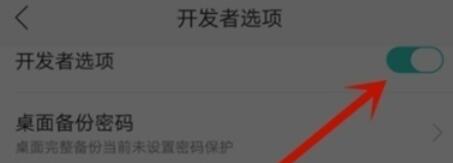 OPPO k5关闭开发者选项的详细步骤