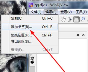 WinDjView保存笔记的操作过程
