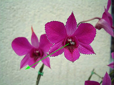 Adobe Photoshop移动工具使用方法