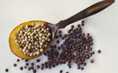 白胡椒、黑胡椒是来自同一种植物吗?支付宝蚂蚁庄园9月16日答案