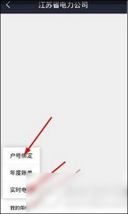 电e宝中用电量的查看方法步骤