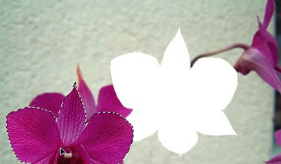 Adobe Photoshop移动工具使用方法