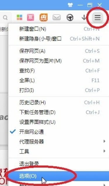 360极速浏览器打开网必通的操作方法