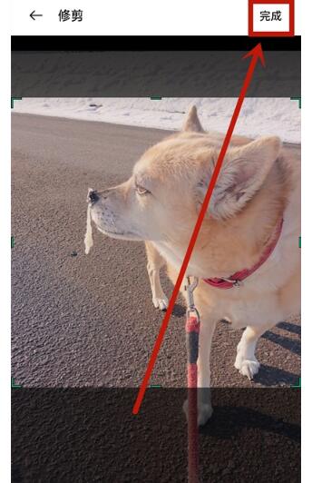 opporeno5如何设置通话背景 opporeno5设置通话背景教程