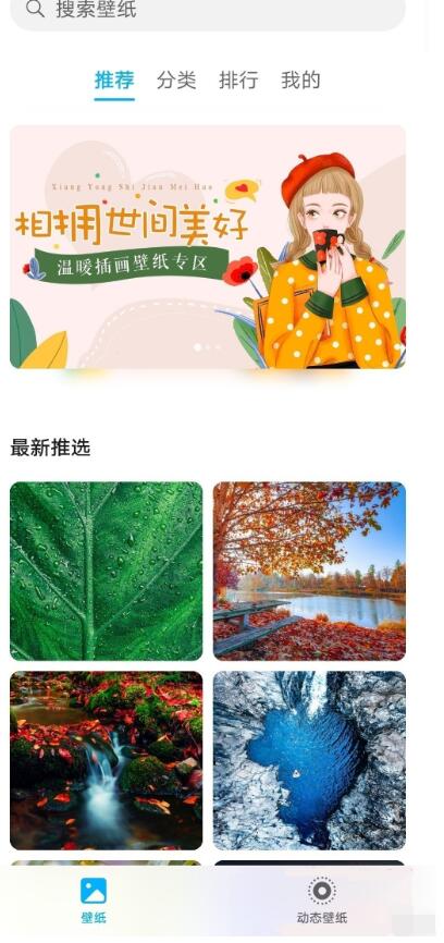 荣耀v40轻奢版怎么换主题 荣耀v40轻奢版换主题的方法
