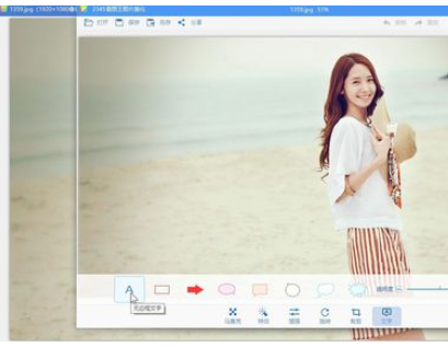 2345看图王中设置插入文字透明度的具体流程