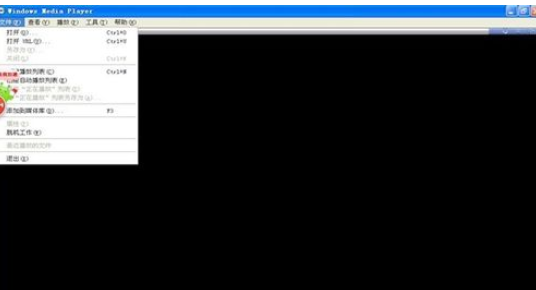 Windows Media Player导入多个视频的相关操作教程