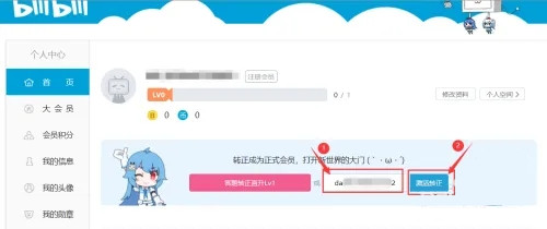 b站邀请码怎么用?b站邀请码的使用方法