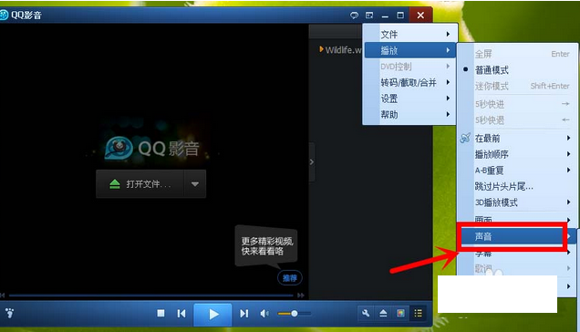 qq影音播放器更换声道的操作步骤