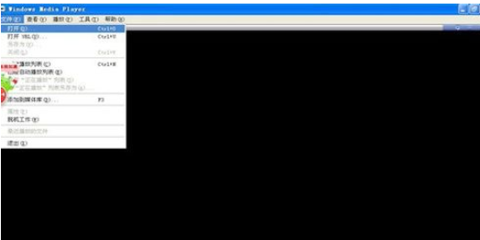 Windows Media Player导入多个视频的相关操作教程