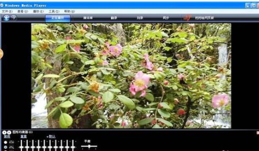 Windows Media Player导入多个视频的相关操作教程