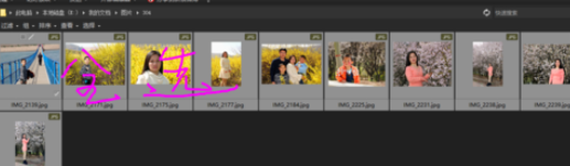ACDSee批量为照片添加文字以及水印的使用教程