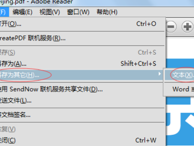 apabi reader如何转换成word?apabi reader转换成word的教程