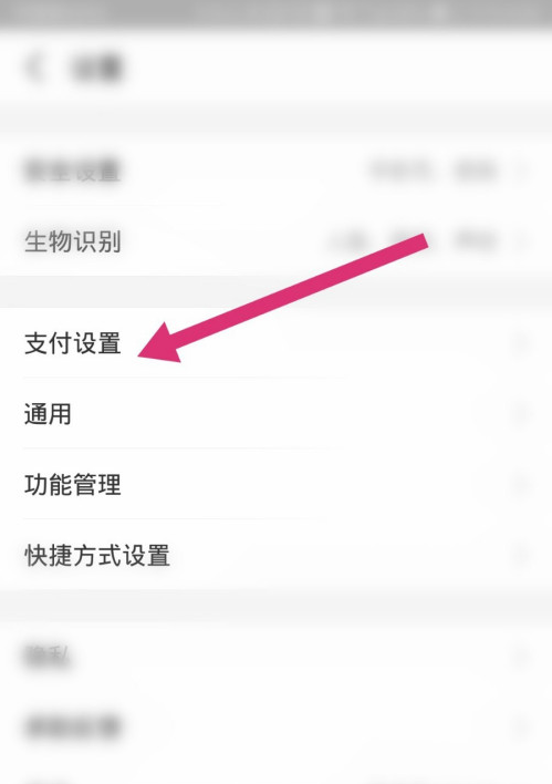 支付宝如何设置用付款码支付 支付宝设置用付款码支付方法分享