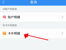 南京市民卡如何查看卡片明细 南京市民卡查看卡片明细的方法