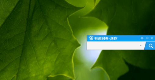 有道词典中迷你窗口的设置方法介绍
