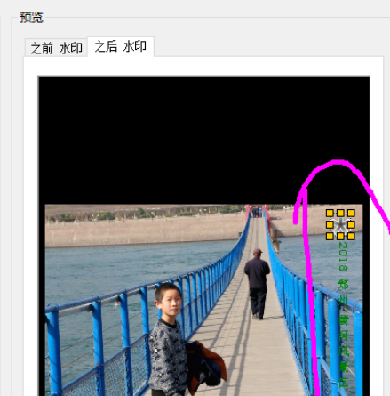 ACDSee批量为照片添加文字以及水印的使用教程