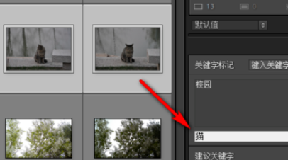 Lightroom给照片加上关键字的操作方法