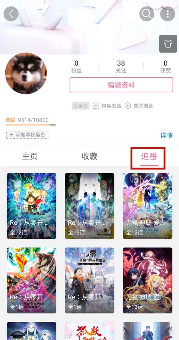 哔哩哔哩如何查看订阅追番?哔哩哔哩查看订阅追番的方法