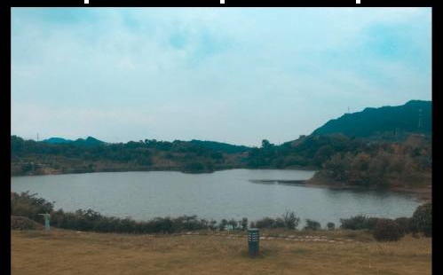 adobe photoshop cc 2019如何调节图片整体色彩？adobe photoshop cc 2019调节图片整体色彩的方法