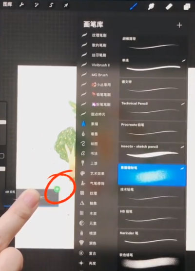 Procreate怎么移动多个笔刷？Procreate移动多个笔刷的方法