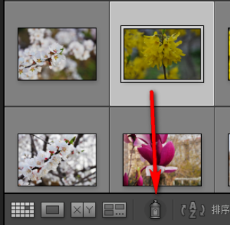 Lightroom给照片加上关键字的操作方法