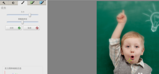 Google Picasa将照片背景变模糊的相关操作教程