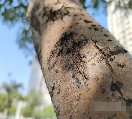 真我gtneo2摄像头参数是什么？真我gtneo2摄像头参数介绍