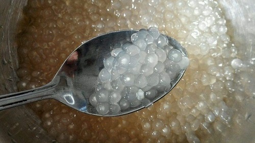 甜点“西米露”里的西米，制作它的原料是怎么来的?支付宝蚂蚁庄园5月27日答案