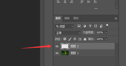 photoshop2020如何新建图层?photoshop2020新建图层的方法