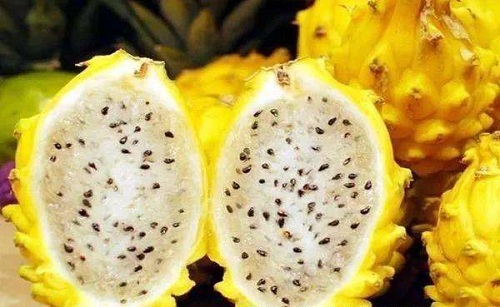 猜一猜火龙果除了红皮红肉,红皮白肉这两种,还有什么样的