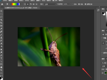 photoshop2020如何新建图层?photoshop2020新建图层的方法