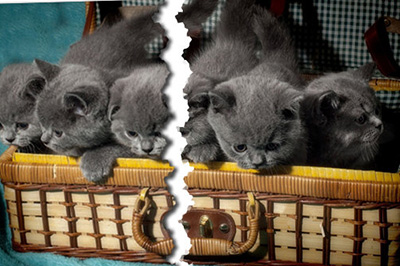 Photoshop制作照片撕裂效果的操作步骤