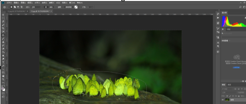 photoshop cc 2018怎么使用修补工具？photoshop cc 2018使用修补工具的方法