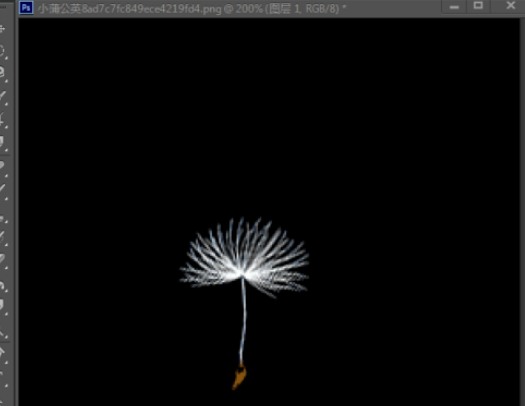AE绘制飘舞蒲公英的操作步骤