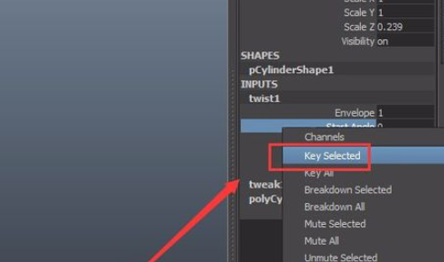 maya制作wist动画的操作使用方法