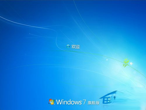 WinXP停止服务怎么办?(2)