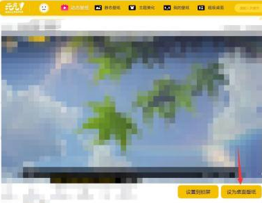 元气桌面如何设置动态壁纸?元气桌面设置动态壁纸的方法