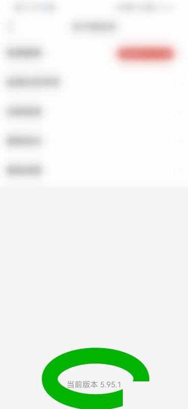 拼多多版本号怎么查看?拼多多版本号查看方法