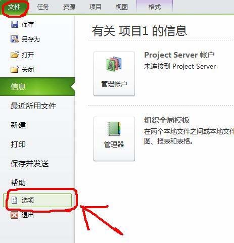 Project将工作日改成days的操作步骤