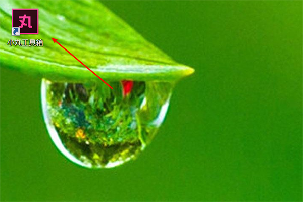 小丸工具箱怎么转成mp4?小丸工具箱转成mp4的方法技巧