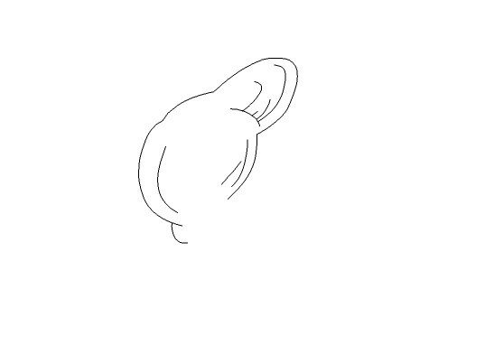 Flash设计卡通美少女图的操作教程