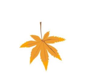 PPT怎样制作树叶飘落动画 PPT制作树叶飘落动画的简单教程