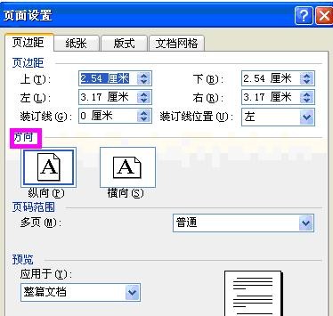 word2003进行页面设置的具体操作步骤