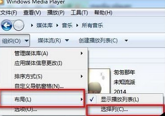 Windows Media Player查看歌曲详情内容的操作教程
