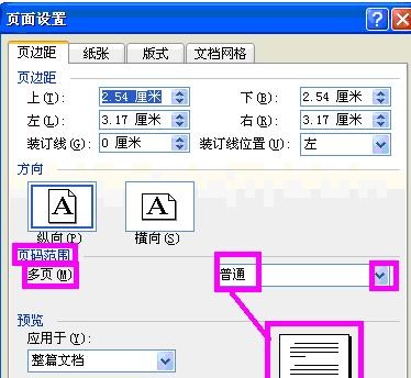 word2003进行页面设置的具体操作步骤