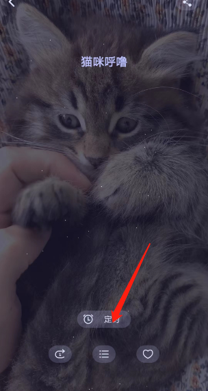 猫耳fm专注模式定时关闭怎么打开?猫耳fm专注模式定时关闭打开教程