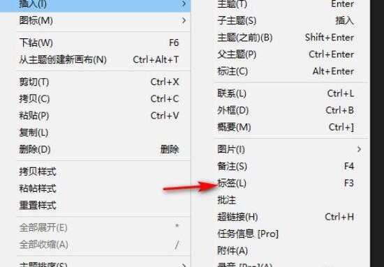 Xmind如何添加标签？Xmind添加标签具体方法